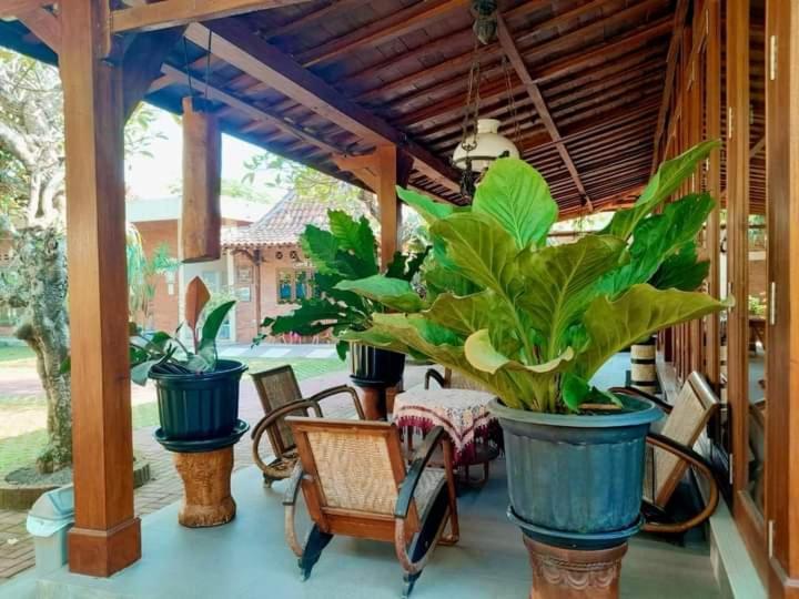 Djembar Inn Kalasan エクステリア 写真
